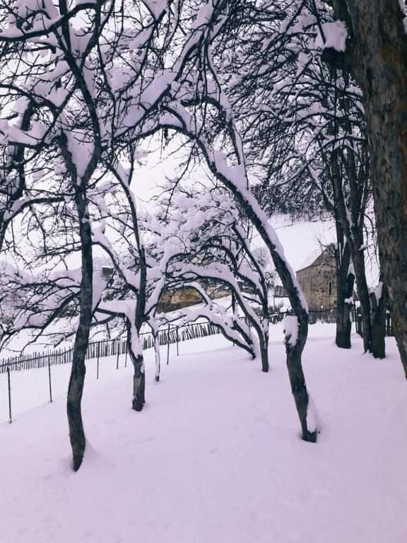 Shorena'S Homestay Tsvirmi Exterior foto